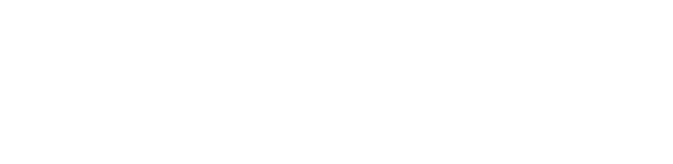 World Follower SMM panel